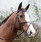 Mackey Classic Peded Grackle Bridle